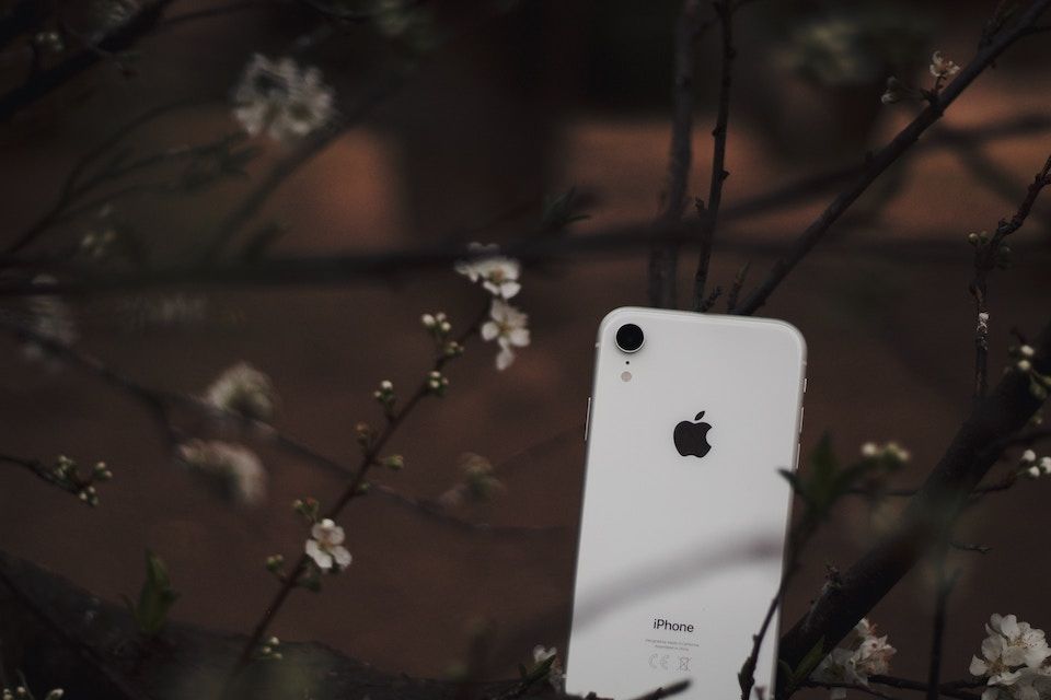 AdGuard v4.4.6 for iOS: +100 to ad blocking