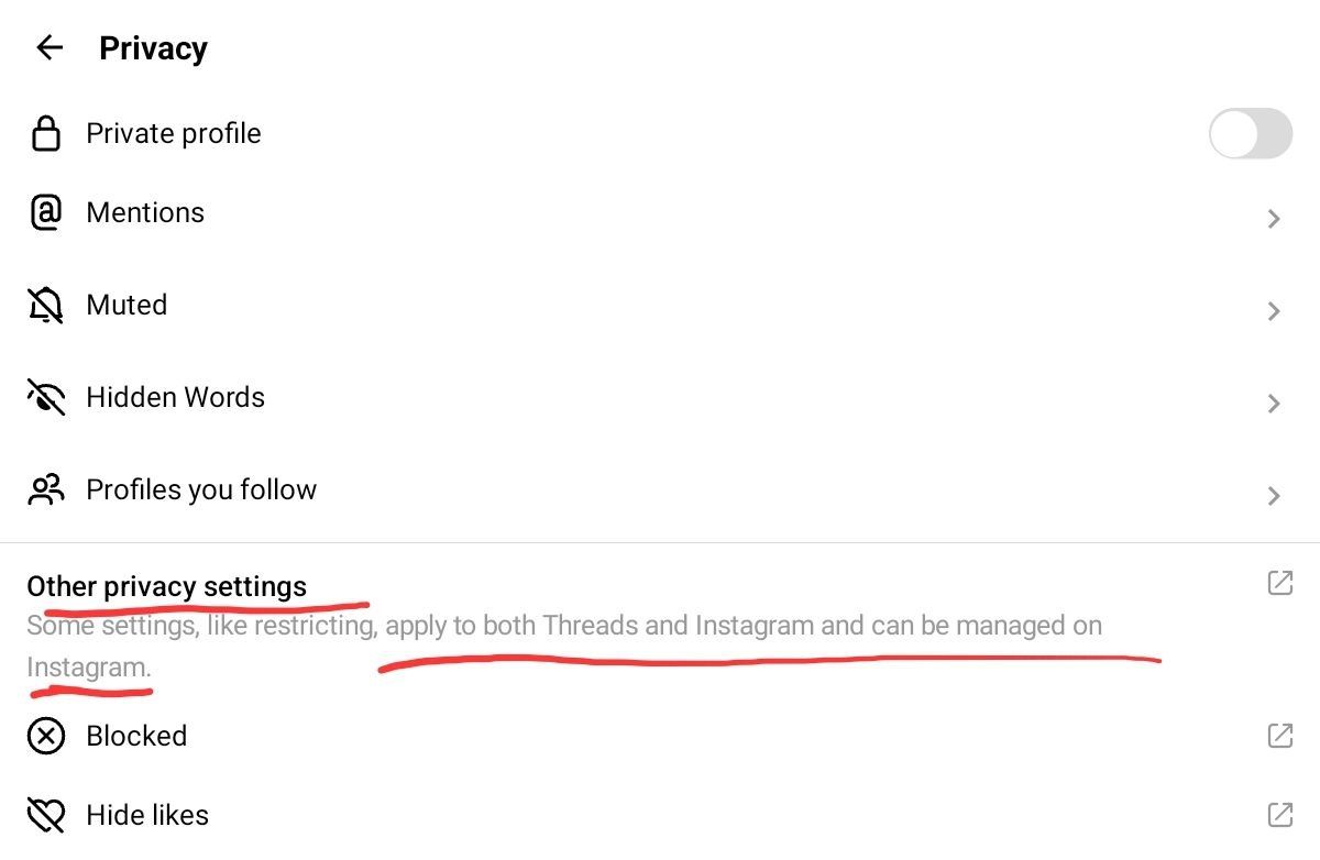 Threads&rsquo; privacy settings